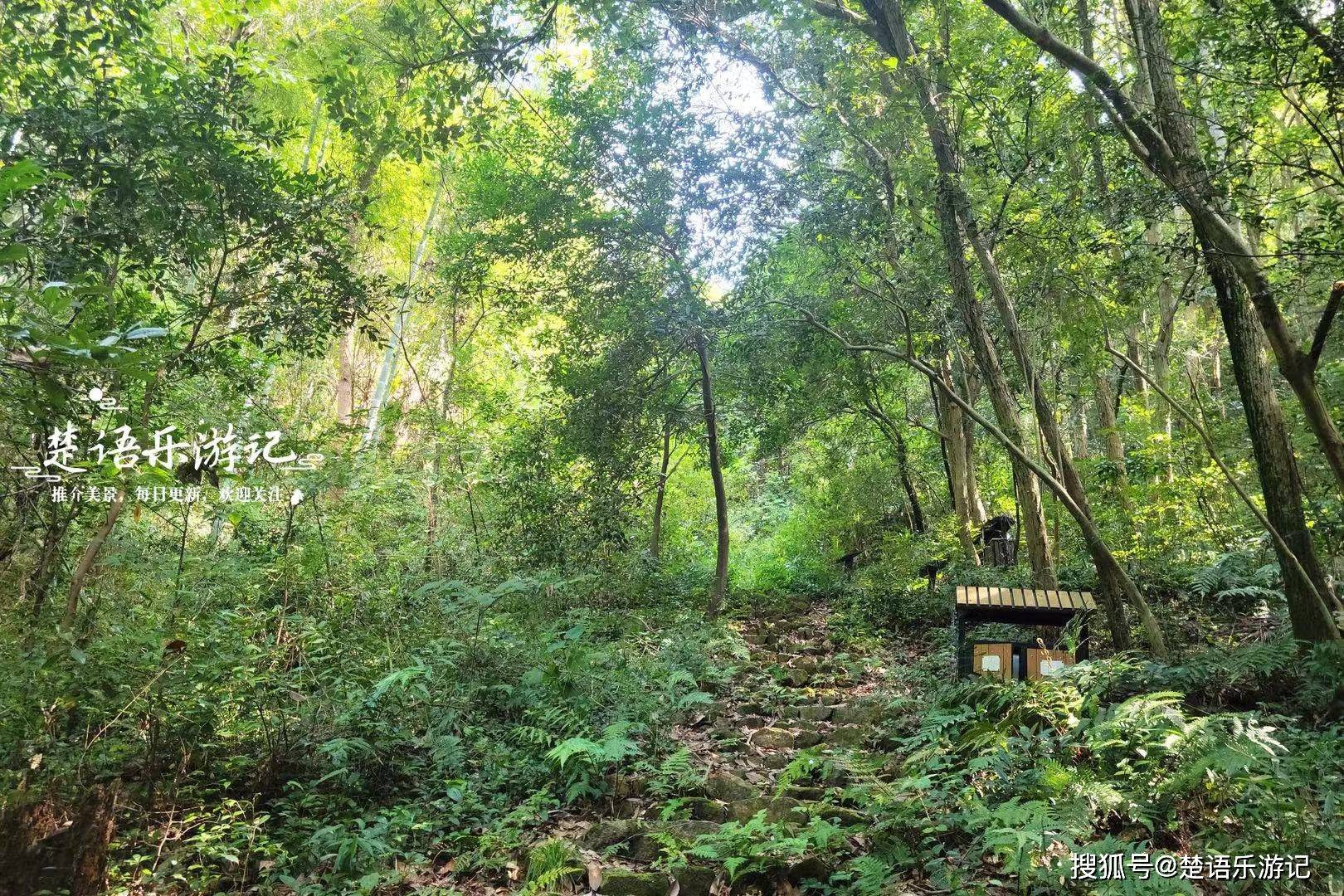 浙江寧波毛岙村,隱秘的3a級景區村莊,又美又治癒,遊玩