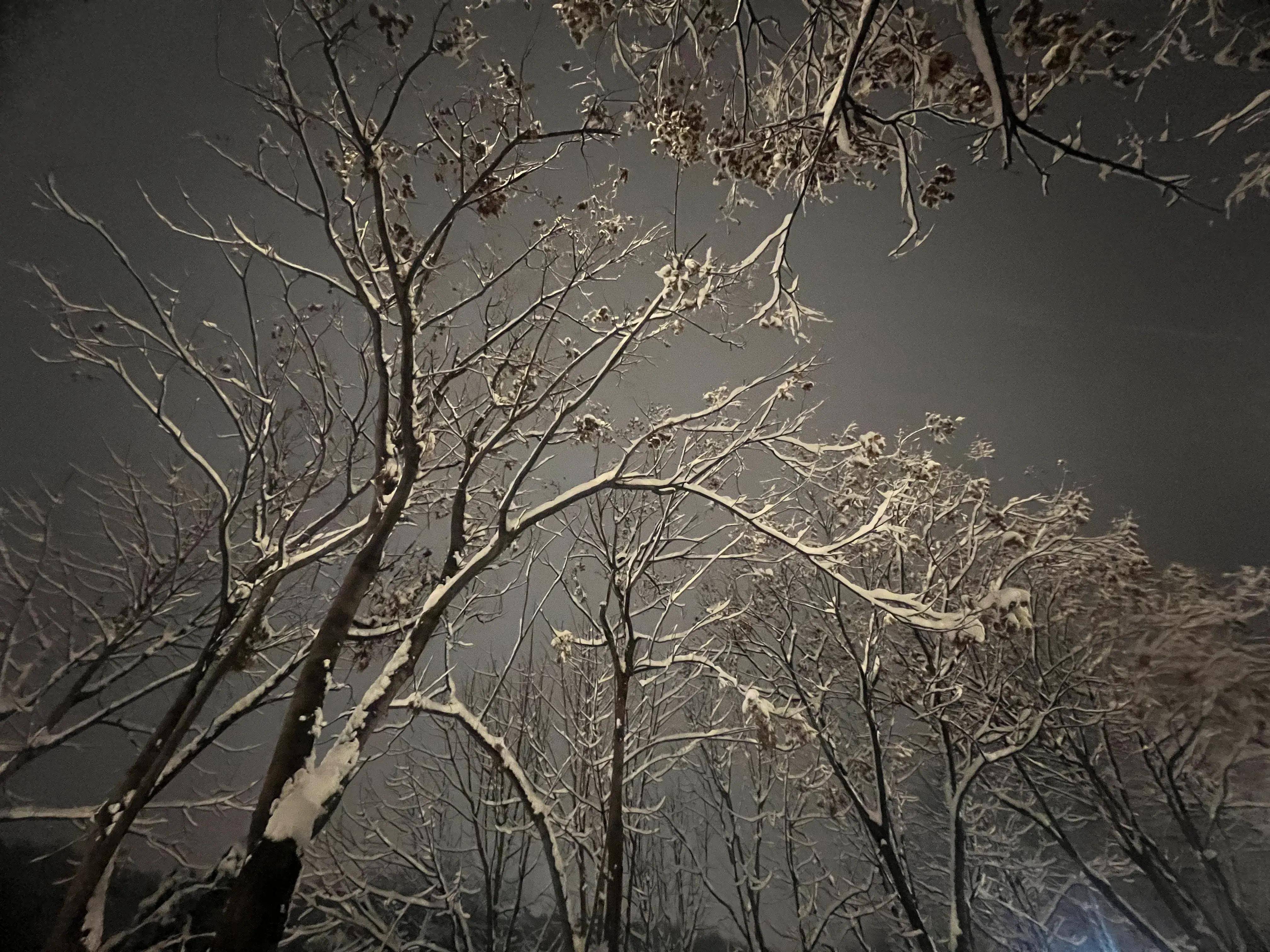 雪夜孤灯图片