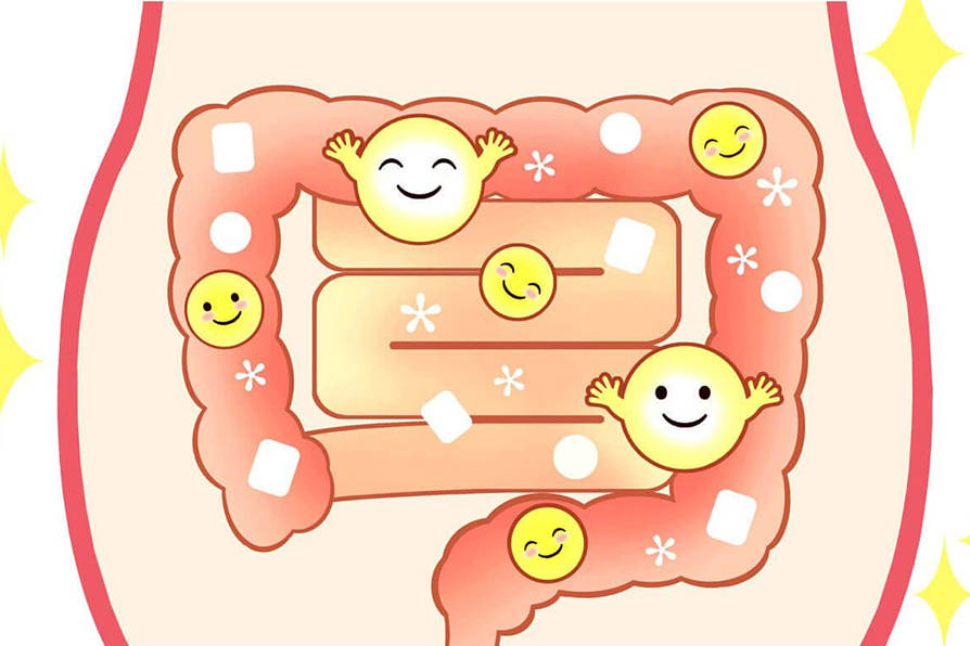 肠道_效果_竞争