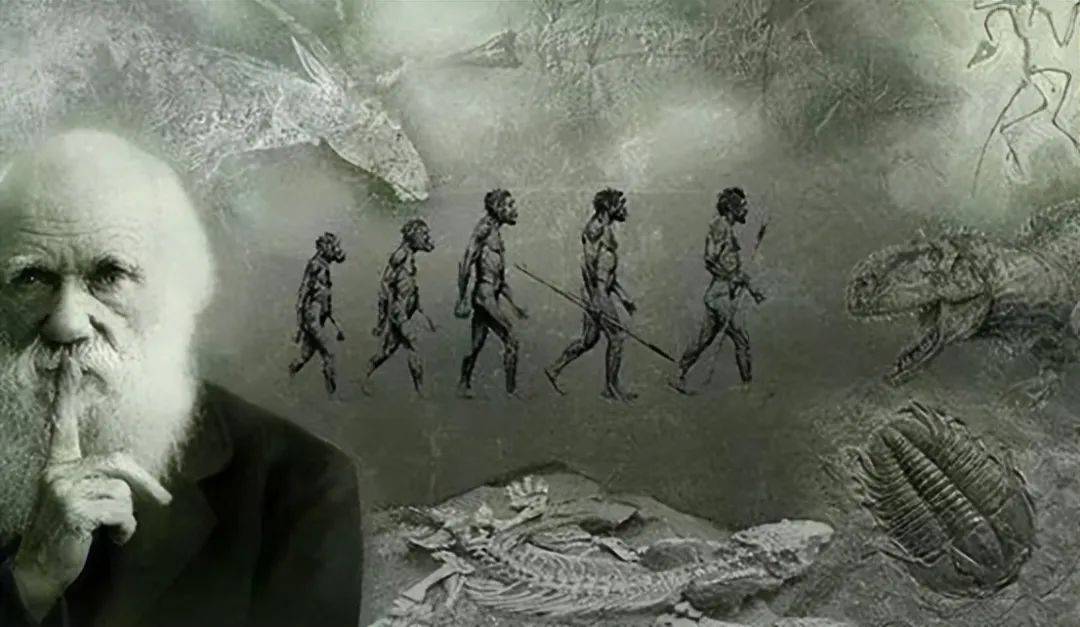 第一个人类由女性还是男性诞生?_性别_社会_起源