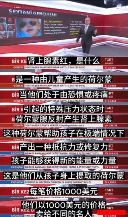 结合每年美国及全球大量儿童失踪案件,让大家不禁怀疑这些悲剧背后