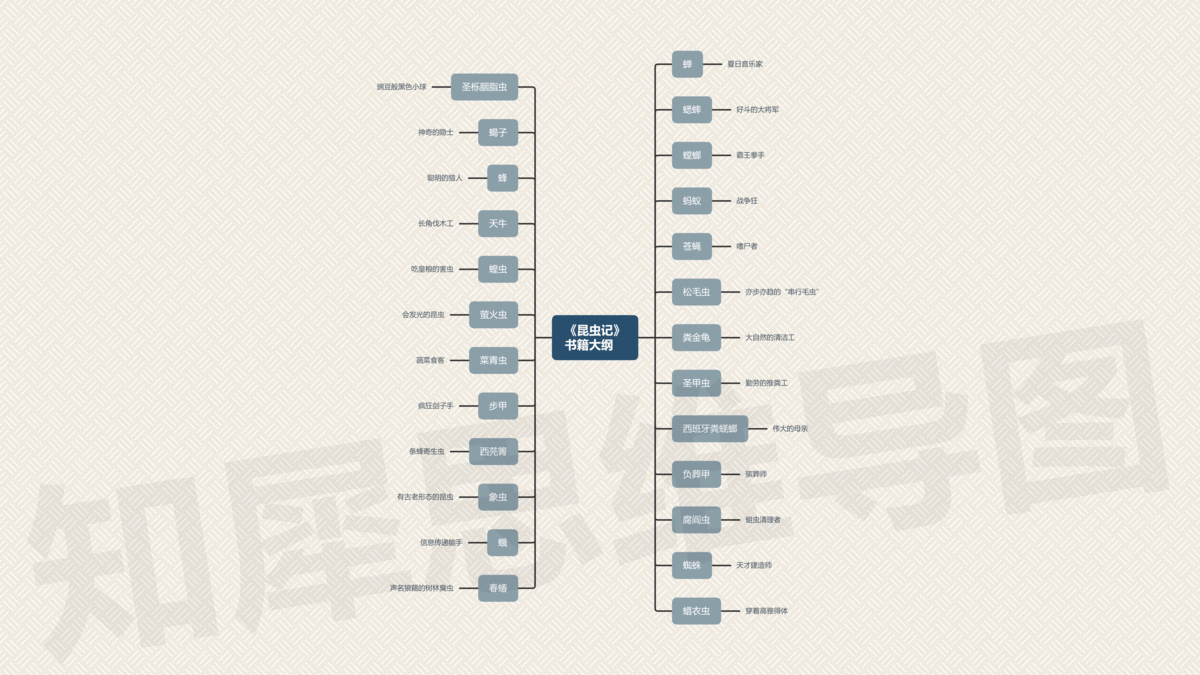昆虫记思维导图,高清脑图模板分享_昆虫王国_朗格多克_法布尔