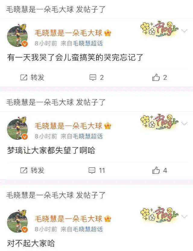 毛晓慧 对不起丑到大家了