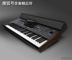 最重要的功能一览用于 korg pa5x,pa4x,pa3x 或 pa3x le 的有源立体声