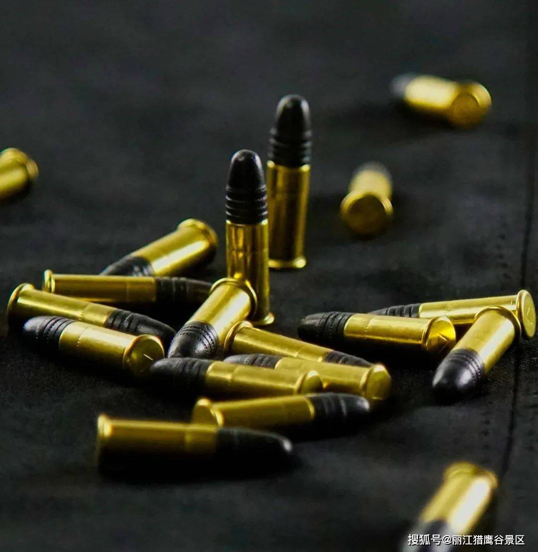 步枪之王—akm,手枪之王—伯莱塔手枪,国产名枪—健卫,峨眉步枪…等多