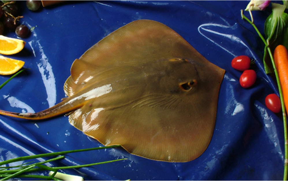 "年年有鱼",快过年了,千万别忘了挑这6种鱼买,便宜又好吃_舌头_美味