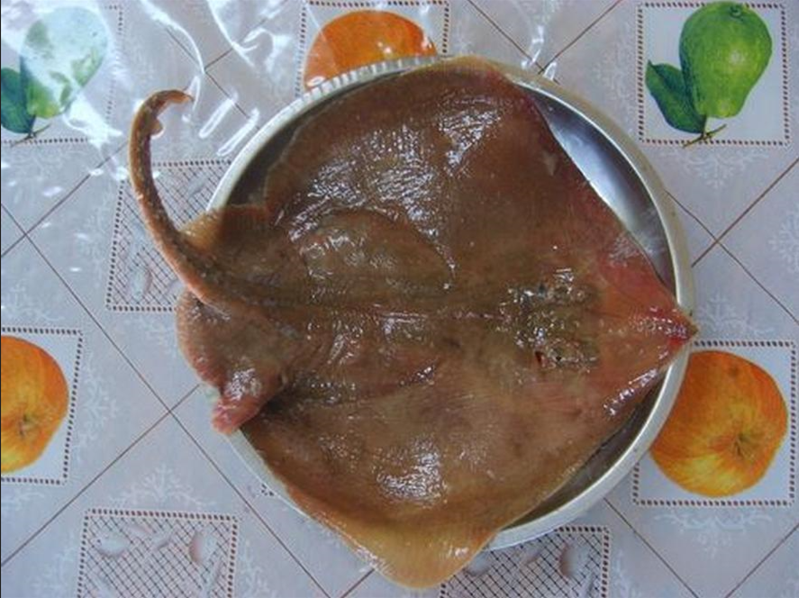 营养价值安康鱼,这个名字或许在一些地方被戏称为"蛤蟆鱼"或"结巴鱼"