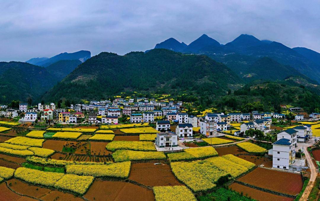 2024我国湖北省大学排名,武大夺冠,武理工表现出色,位列第3_中国大学