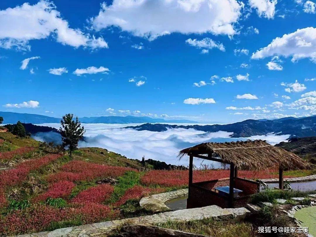 元江那诺梯田云海图片