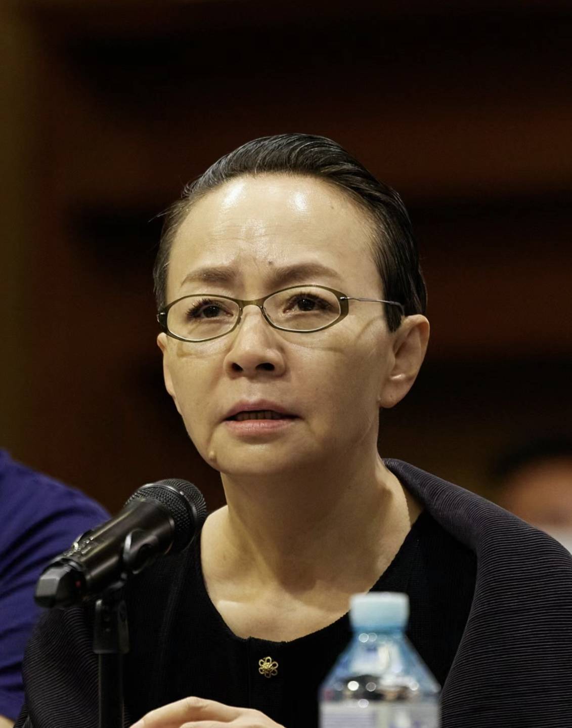 宋丹丹:从娱乐圈到家庭,一个母亲的坚韧与伟大_巴图_儿子_孙子