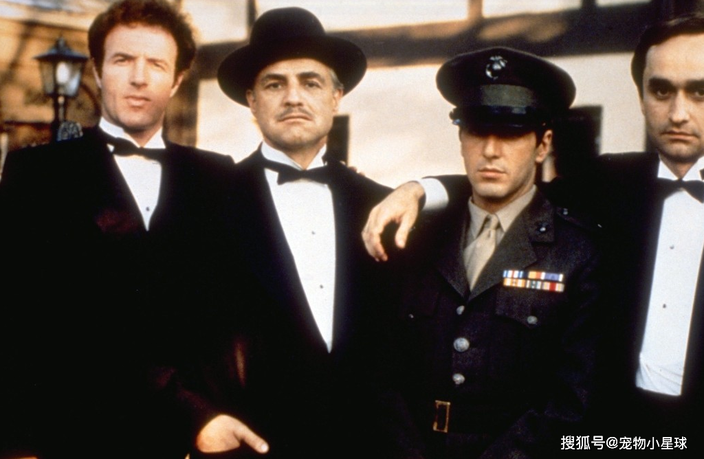 这个帮派起源于俄罗斯,据说是世界上最大的黑帮,他们是谁?