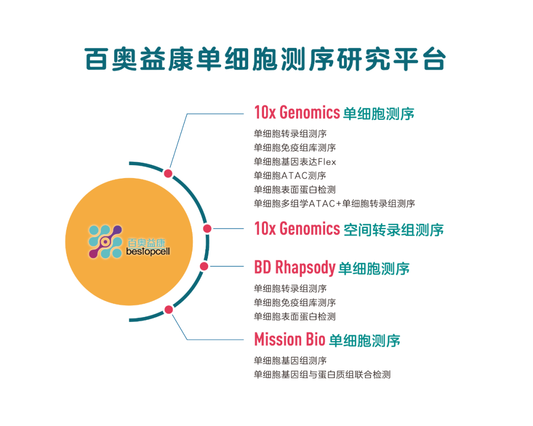 生信乾貨 | cytassist空間轉錄組測序—spaceranger()