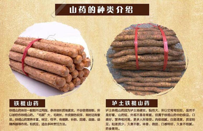 温县垆土铁棍山药种植与功效,健康养生补品,送父母送长辈首选
