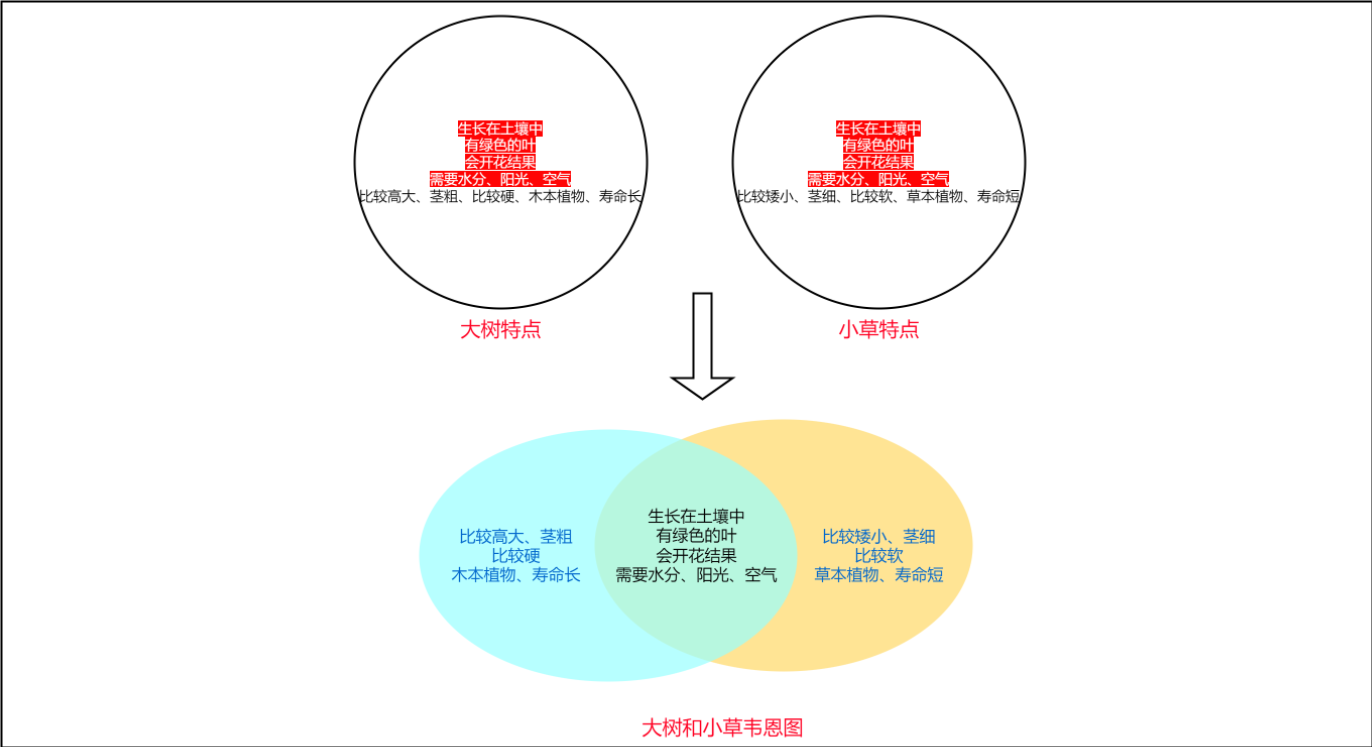 韦恩图的由来图片