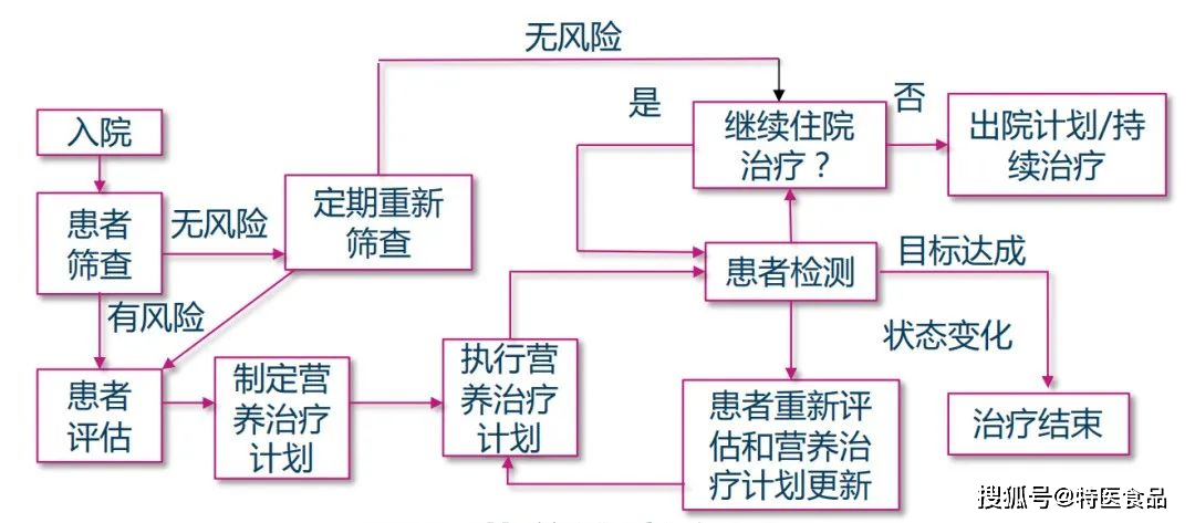 被誤解的營養治療_患者_能量_風險