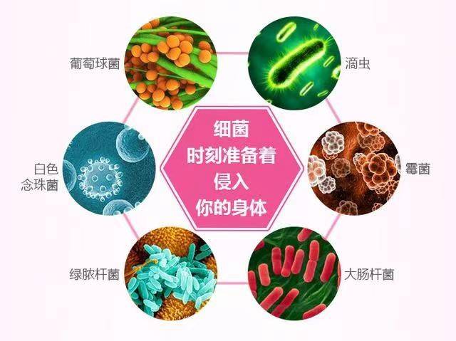 其中的有益菌将大量减少,其中的有害菌比如细菌,霉菌,滴虫将大量繁殖