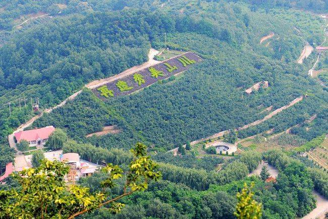 前南峪國家森林公園內有50多個樹種,植被覆蓋率達94.