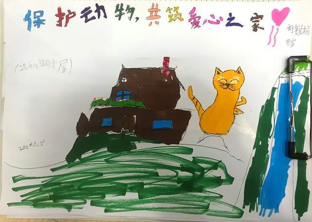 深圳少年手绘公益海报,为流浪猫筹款助力