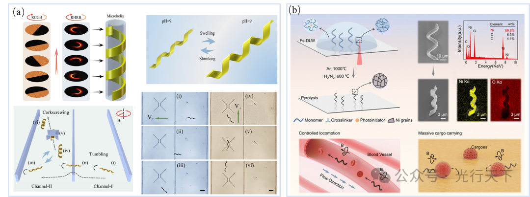 微納螺旋機器人:(a)水凝膠微納機器人的高效製備及環境響應特性;(b)微