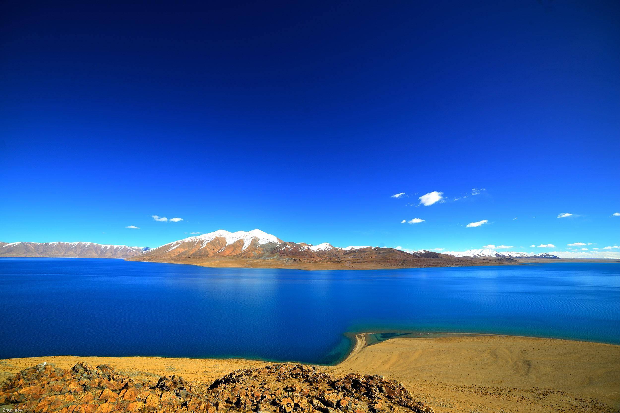 认真落实自治区党委的部署要求,忠诚履职,担当作为,求真务实,勇于创新