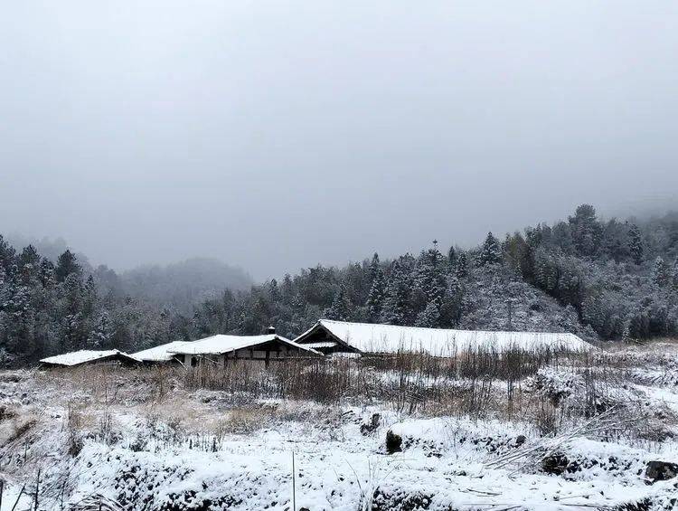 2024年永安市青水畲族鄉豐田村今早開門大雪_影友_白