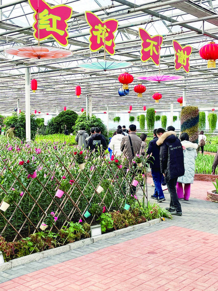 届冬季农博会开幕,逛农博园赏灯光秀观动漫冰雪嘉年华_展区_长春_动物