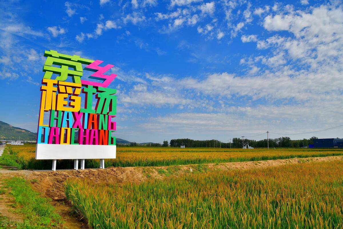 店头古堡自带雪天浪漫气息,簇簇梨花绽放在枝头.