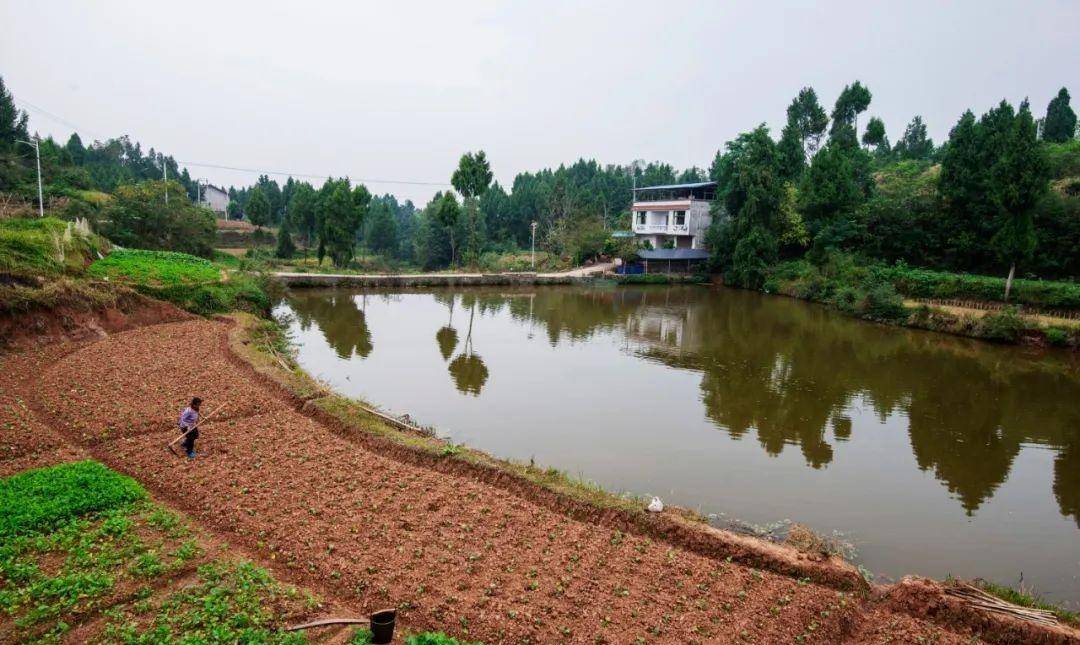 岳池:天平镇八块田_田村_村子_水库