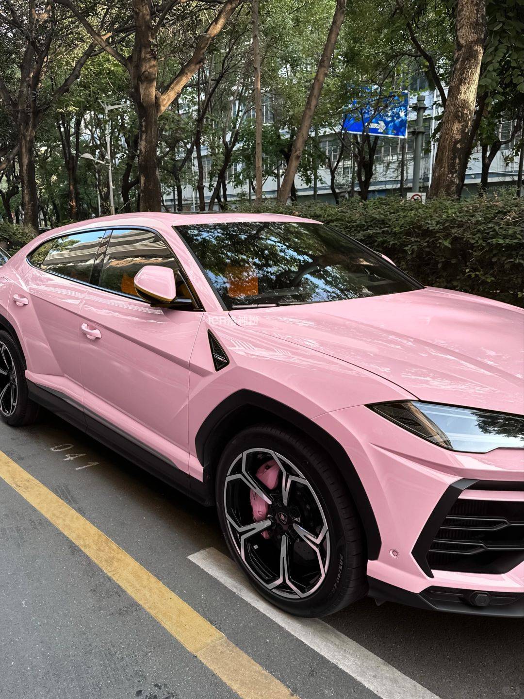 兰博基尼icr改色膜洛神粉,回头率爆棚的洛神粉绝了_搜狐汽车_搜狐网