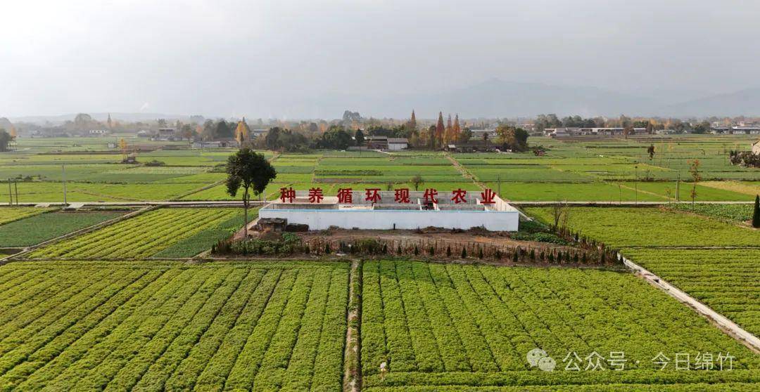 天府旅游名县|这一站,绵竹广济!_广济镇_高山_景区