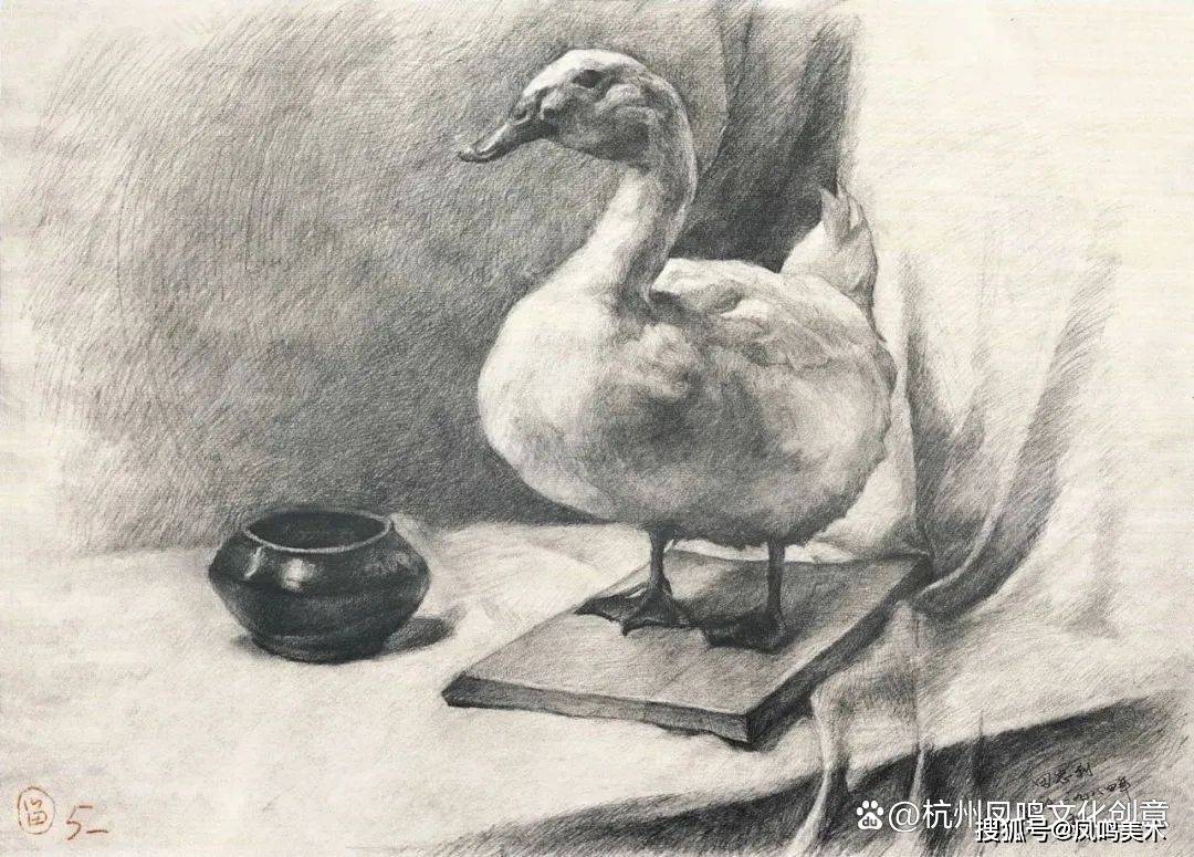 美院附中集训:中央美院附中素描静物作品欣赏