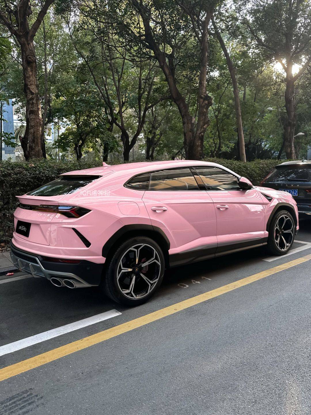 兰博基尼icr改色膜洛神粉,回头率爆棚的洛神粉绝了_搜狐汽车_搜狐网