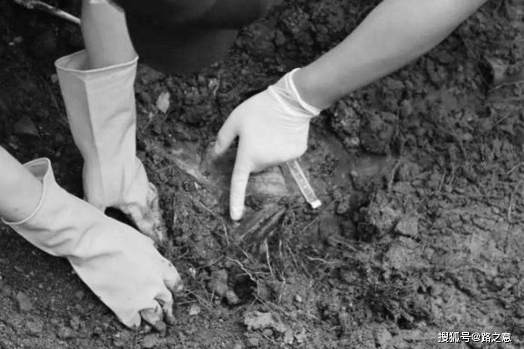 白骨鸣冤还你清白!1995年睢宁县双沟镇魏头村杀人埋尸案侦破始末