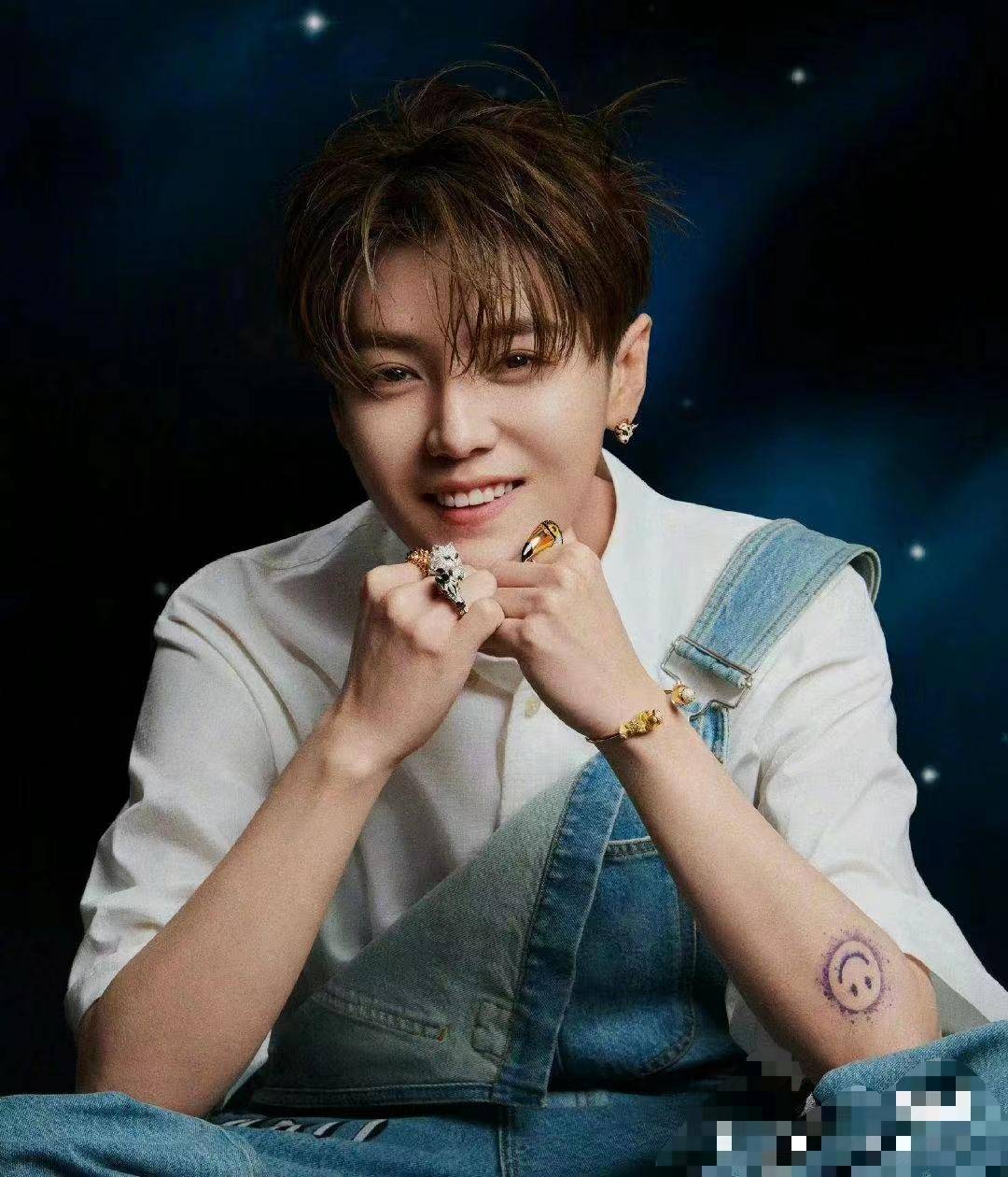 揭秘鹿晗的资产:京圈少爷的背后真相_王思聪_背景_艺术