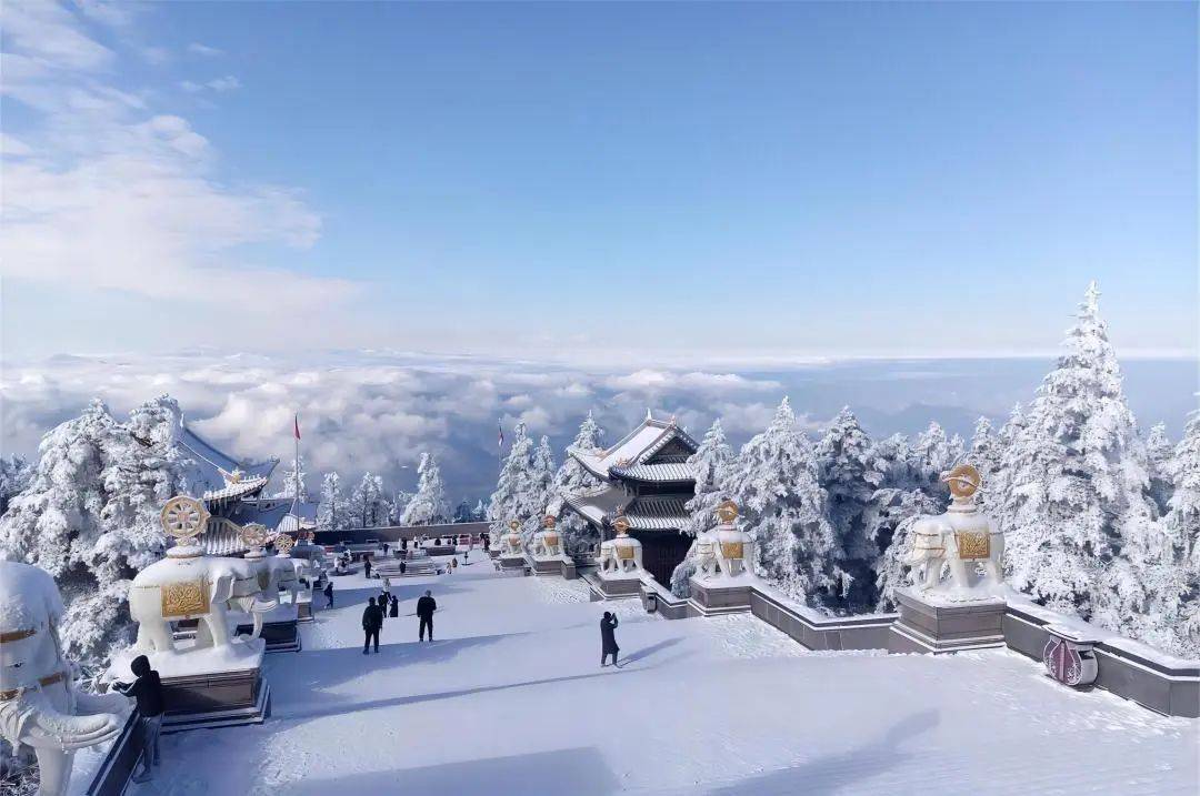 不是哈尔滨去不起,而是峨眉山更有性价比!_万年寺_金顶_圣像