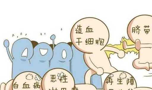7岁白血病与病魔抗争2年,脐带血留还是不留_费用_胎儿_疾病