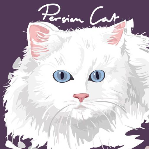 被称为猫中王子,王妃的波斯猫_价格_加菲猫_纯种