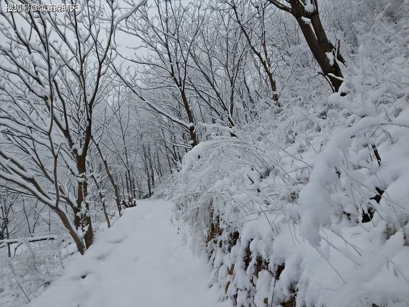 河南鹅毛大雪满天飞 积雪脚脖子深