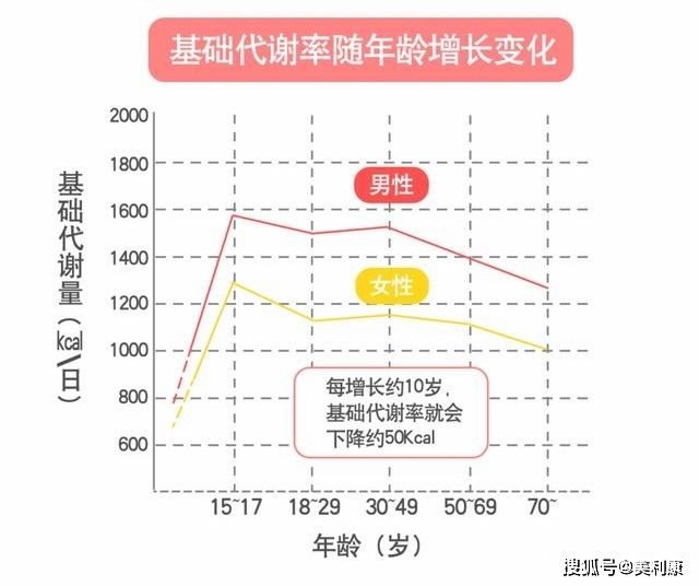 人体基础代谢标准图片