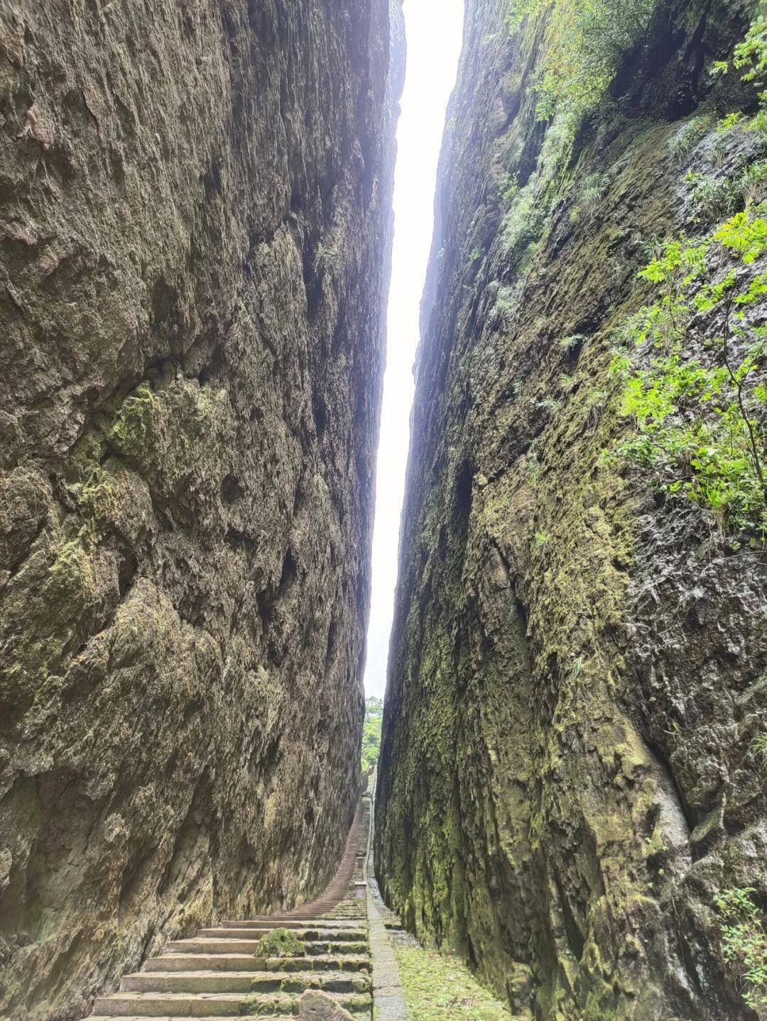 世界十大名山排行榜图片