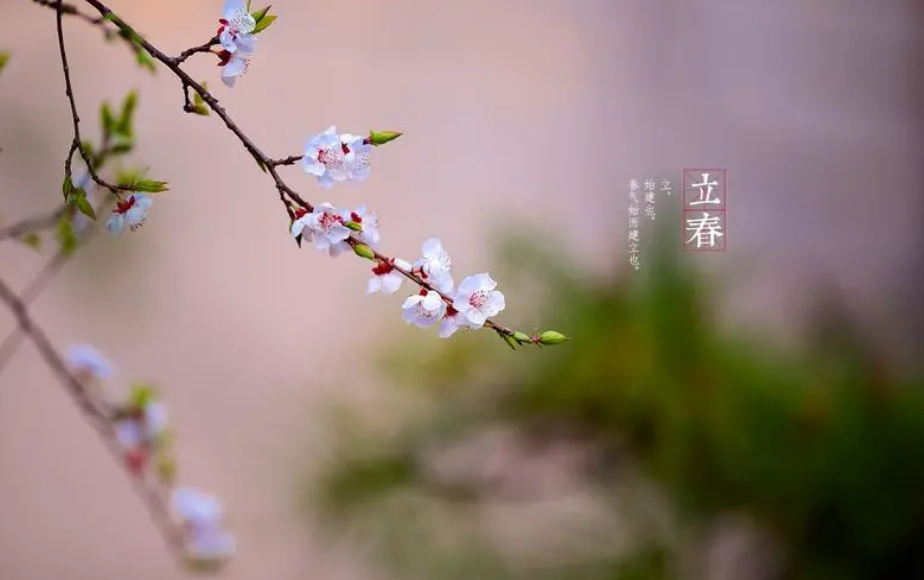 春來東風至 來年景更盛,有關立春的詩詞,願歲月人安好