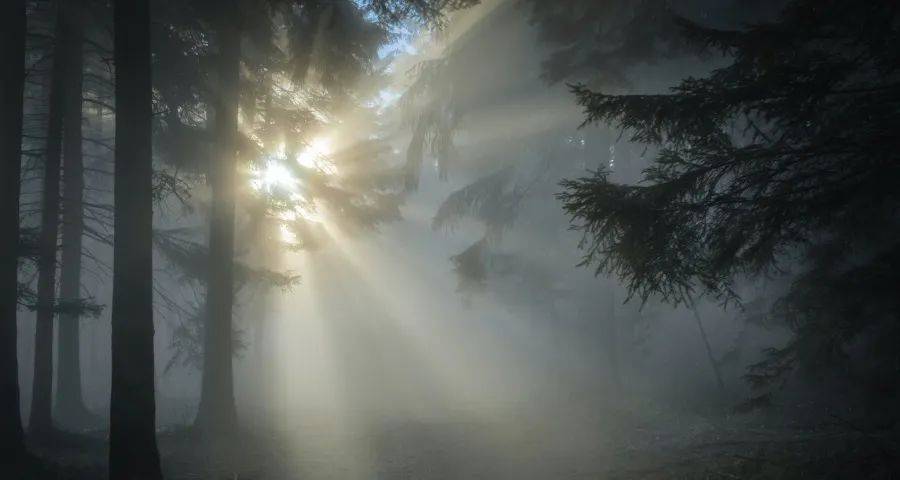 国家产业新政中隐藏的家电业生机-家电圈官网