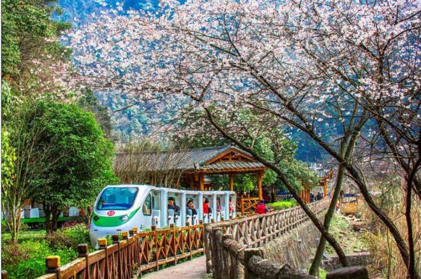 来湖南张家界凤凰古城旅游报当地旅游团需多少钱 来湖南张家界旅游必看攻略