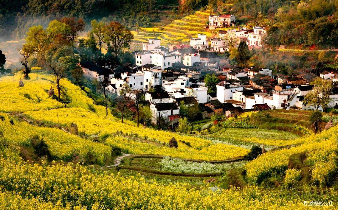婺源油菜花风光5天4晚深度经典摄影旅游团