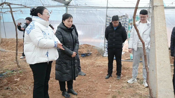 近期分別在岱嶽區徂徠鎮,新泰市樓德鎮和寧陽縣華豐鎮進行技術指導