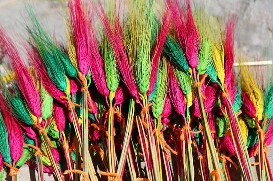 "罗萨梅朵"盛开在每家每户 探访桑木村"罗萨梅朵"制作技艺_染色_央金_