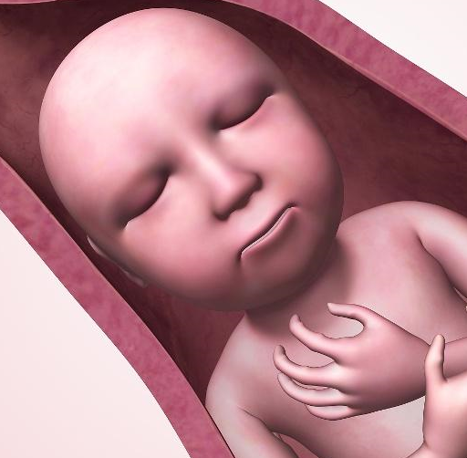 分娩注意事项:可能造成难产的因素分析_妈妈_胎儿_宝宝