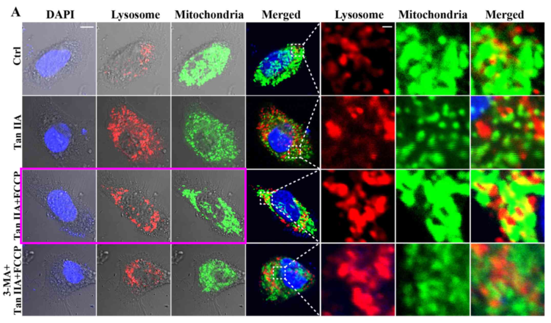 中国中医科学院广安门顾