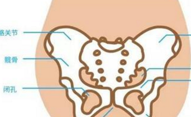 而耻骨痛最多是因为耻骨联合位置的分离