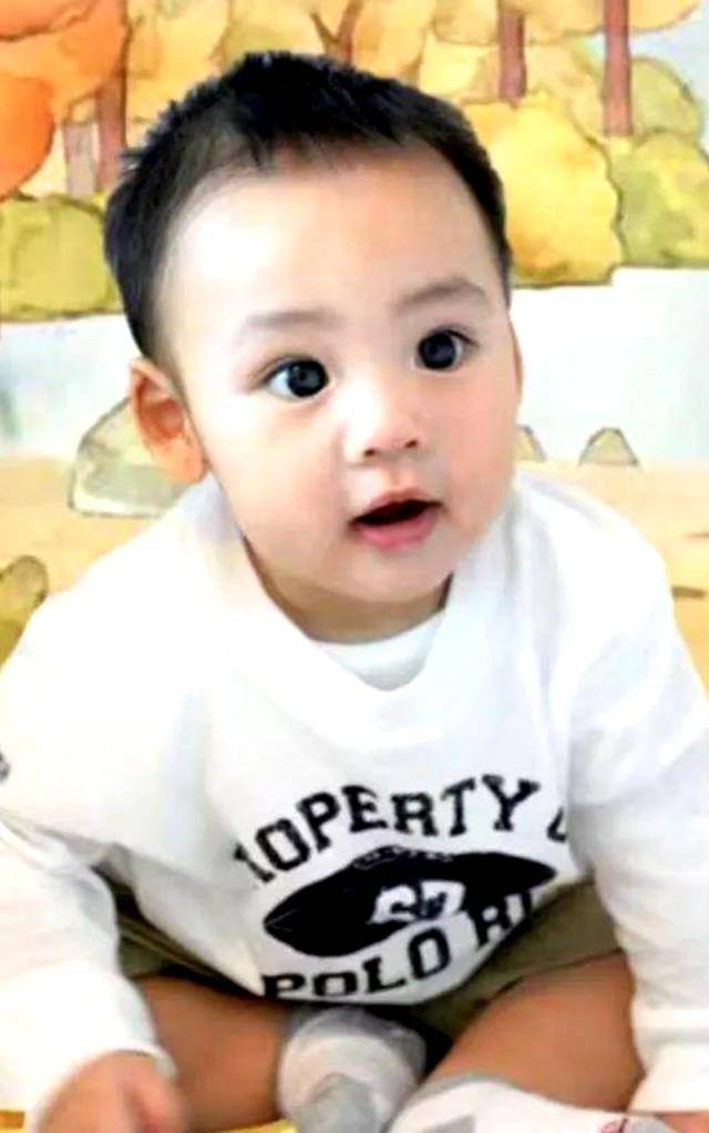 还记得最美港姐李嘉欣和许晋亨的儿子吗?基因这东西真是玄学